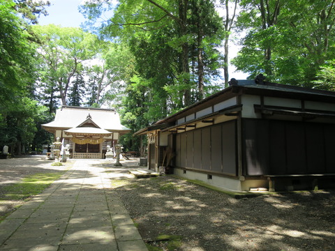 式内社・大國玉神社(おおくにたまじんじゃ)画像