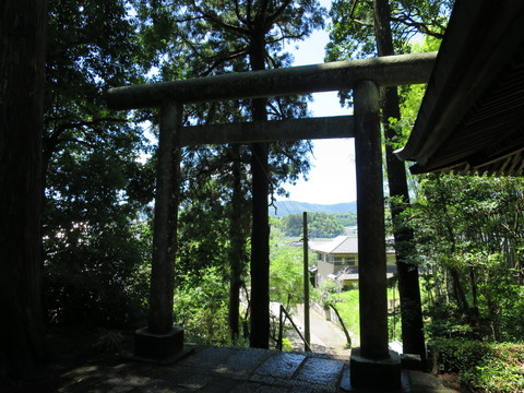式内社・稲田神社(いなだじんじゃ)画像