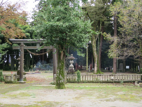 下野国総社・大神神社(おおみわじんじゃ)画像