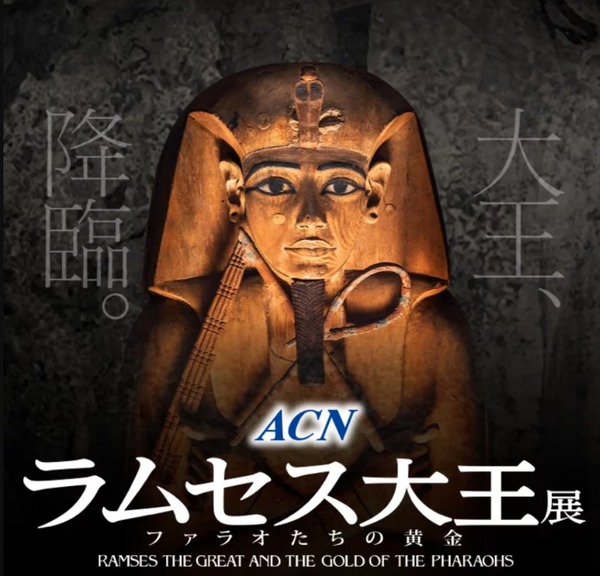 2025y11m19d_175734266