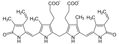 birirubin
