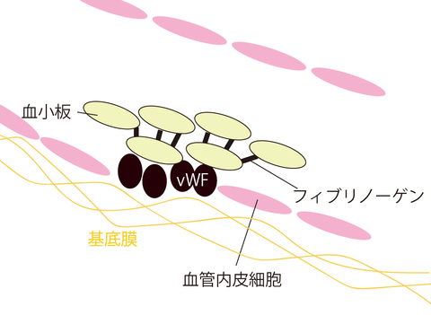 一次止血