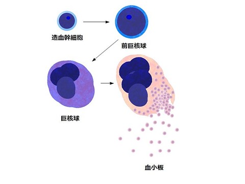 放出血小板