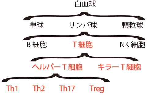Tce