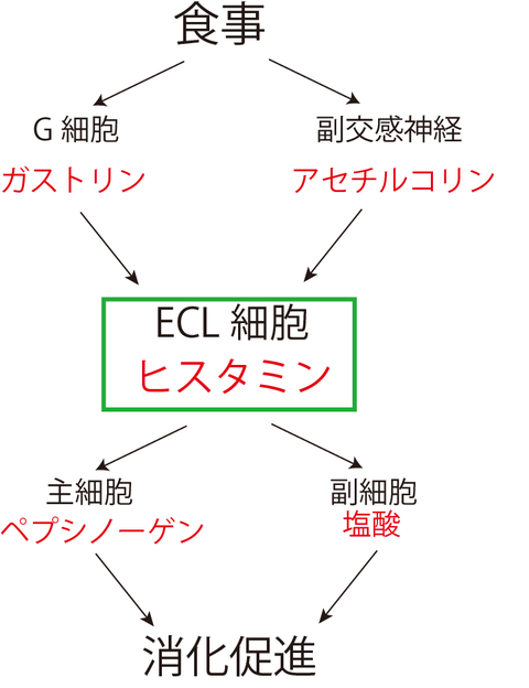 ECL-1