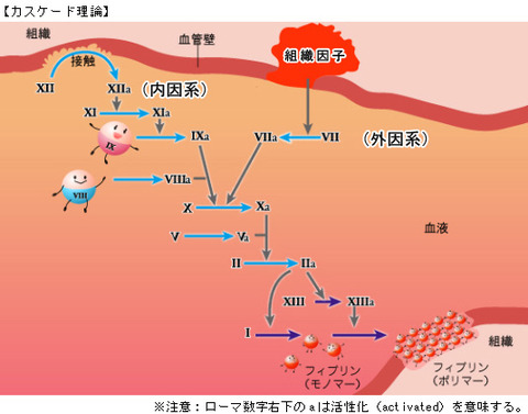 hemophilia_10_con02_03