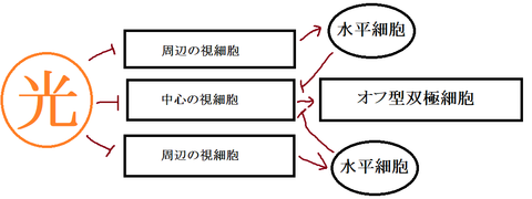 概念おふ