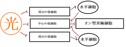 概念