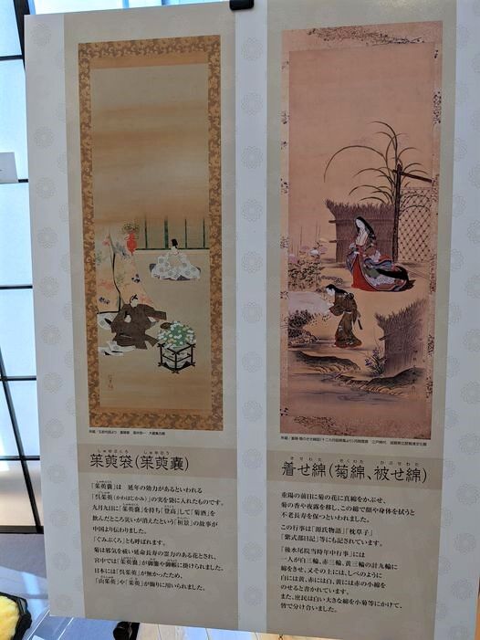 着せ綿の軸