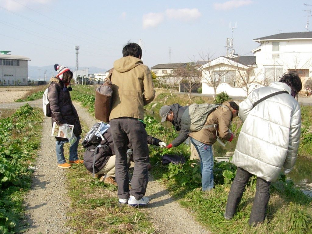 春の七草 歴史探訪京都から