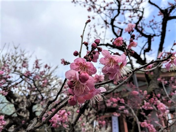 331904848_1036390277335946_6341224345974357775_n