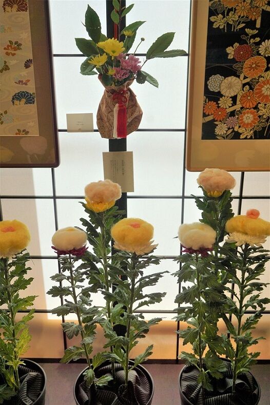 DSC04841 (2)
