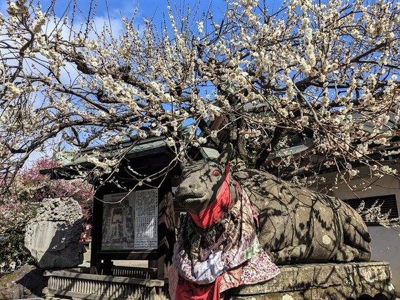 330312758_768098488217394_821715546453326863_n