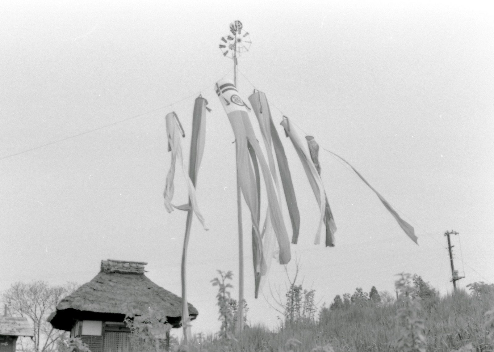 古い写真 鯉のぼり 1963年5月 Go Go 嵐山 3 古い写真 鯉のぼり 1963年5月 Go Go 嵐山 3