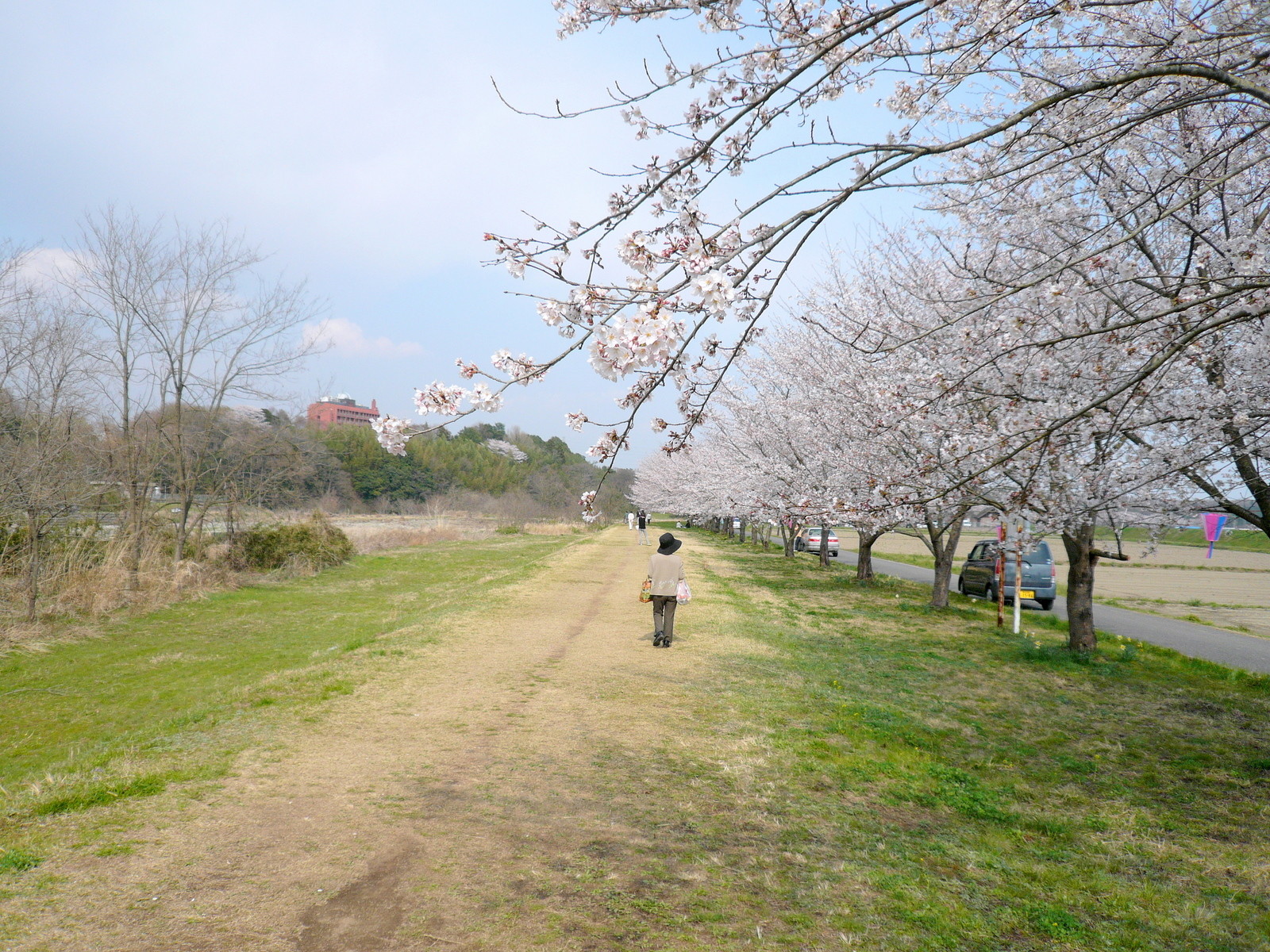 嵐山町の桜 都幾川桜堤 10年4月3日 Go Go 嵐山 3 嵐山町の桜 都幾川桜堤 10年4月3日 Go Go 嵐山 3
