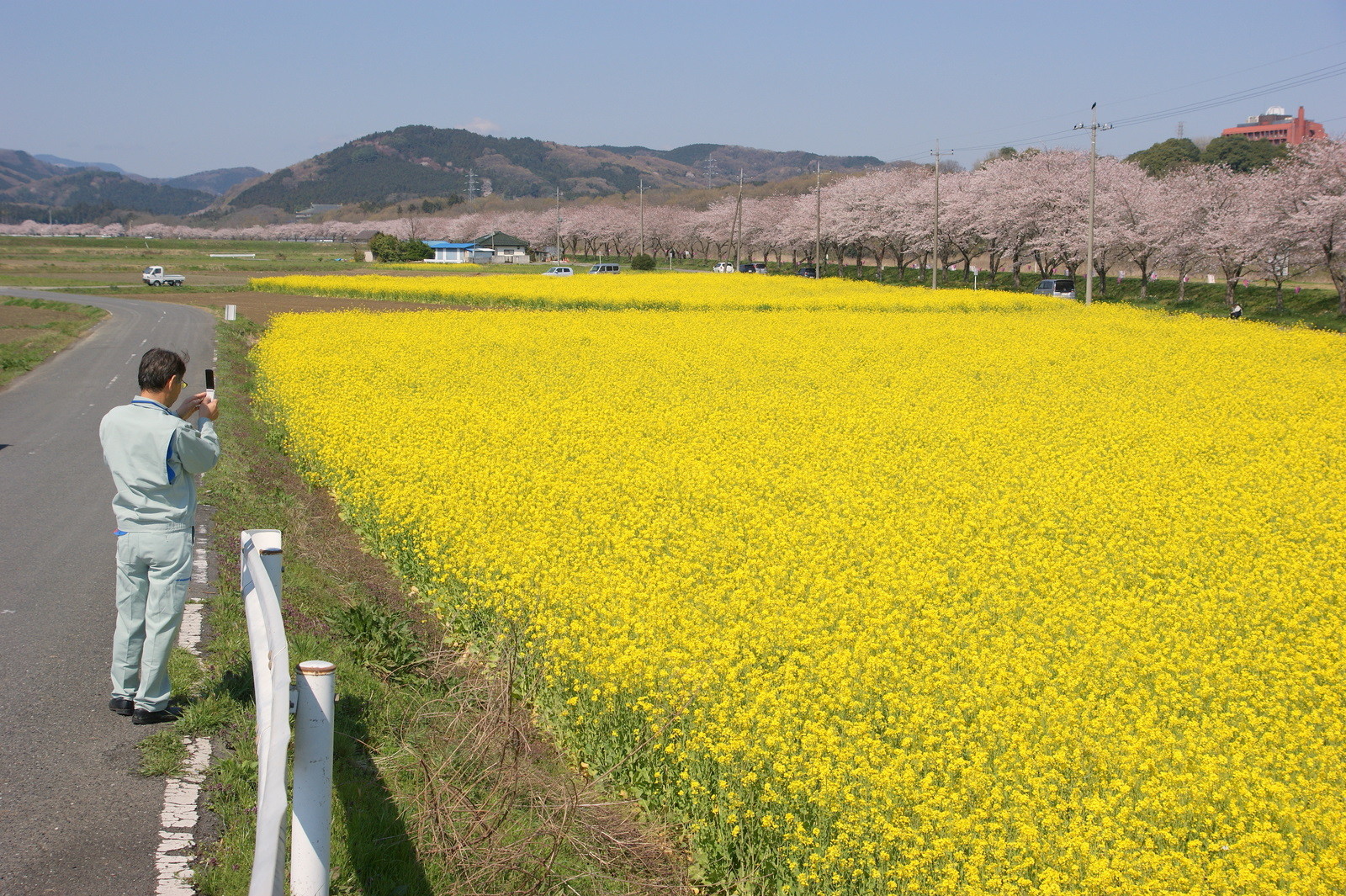 嵐山町の桜 都幾川桜堤 10年4月8日 Go Go 嵐山 3 嵐山町の桜 都幾川桜堤 10年4月8日 Go Go 嵐山 3
