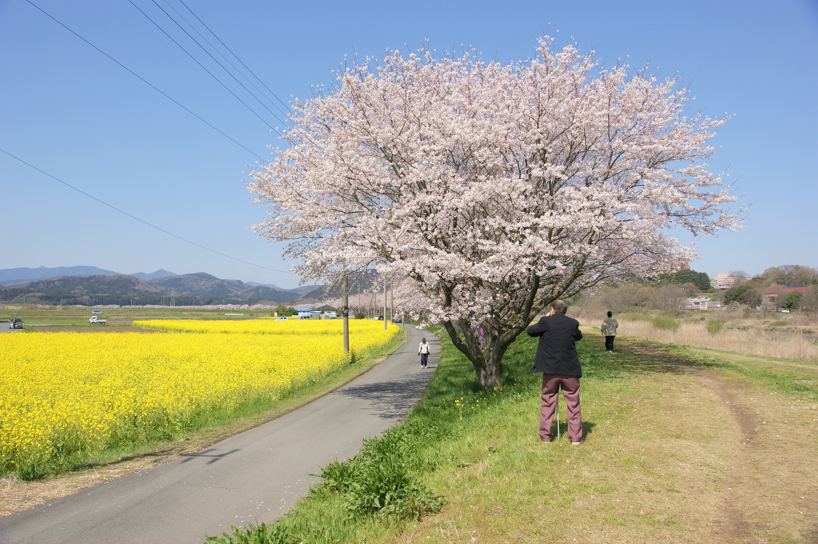 嵐山町の桜 都幾川桜堤 10年4月8日 Go Go 嵐山 3 嵐山町の桜 都幾川桜堤 10年4月8日 Go Go 嵐山 3