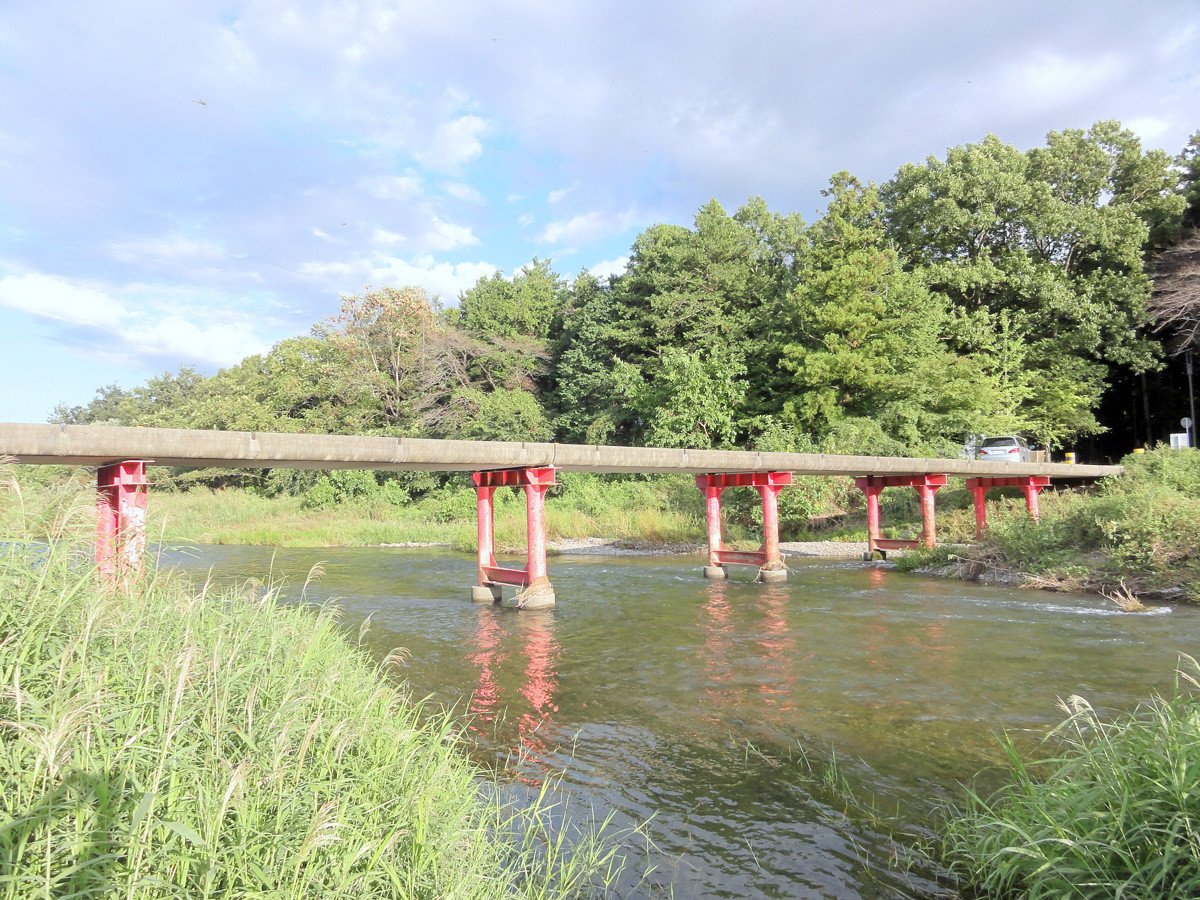 空から見た東松山市 121 更新 唐子地区 10年8月 Go Go 嵐山 ３