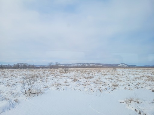 20250126_120439-2641