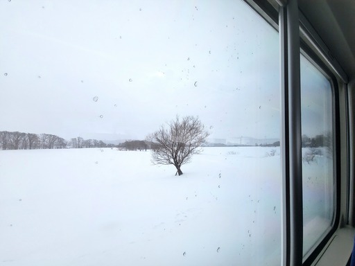20250128_113457-2906