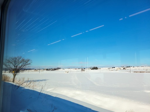 20250125_105124-2503