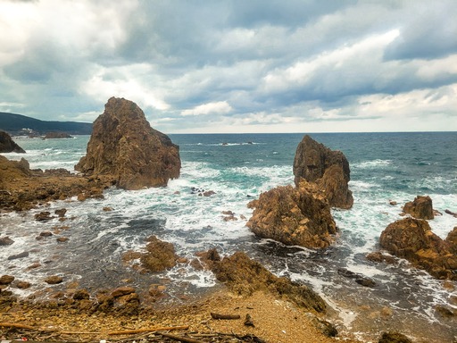 20241205_105128-1038