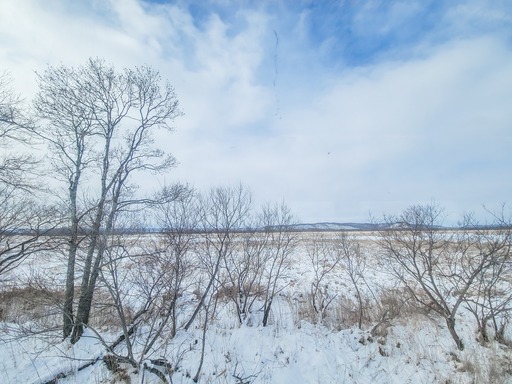 20250126_120457-2642