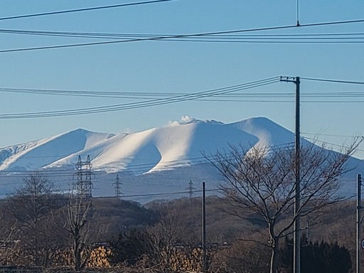 20250125_150229-2540