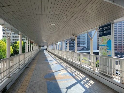 20250514_082407