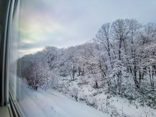 20250126_083731-2584