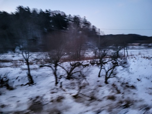 20250127_061832-2726