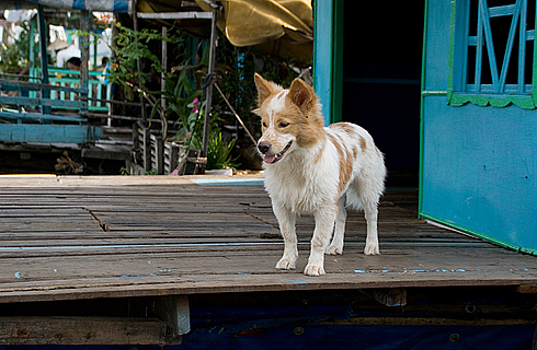 vietnam_2-127 vietnam_2-127