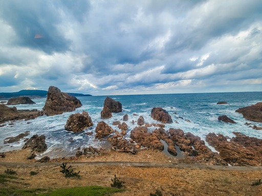 20241205_105124-1587