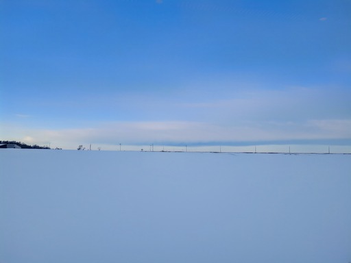 20250126_073603-2571