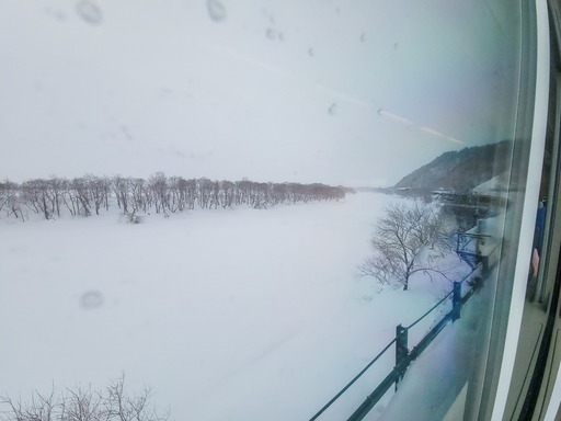 20250128_113310-2905