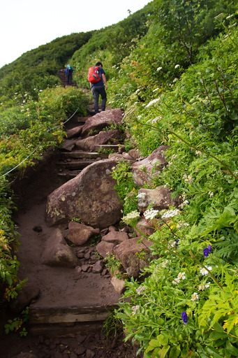 2014_0815_0749