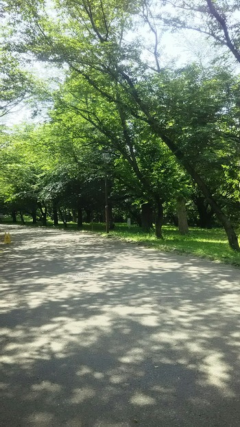 [画像:24ea5bc9-s.jpg]