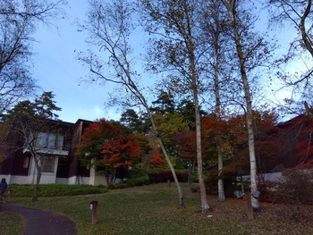 IMG_2024-10-31-15-46-41-944