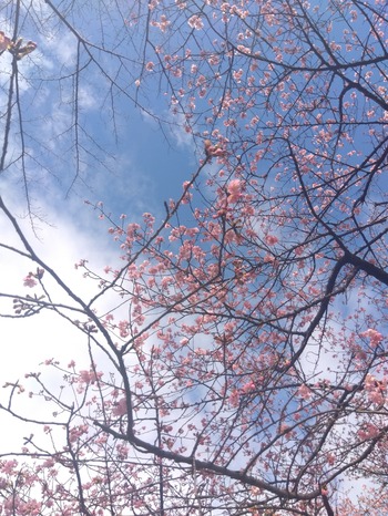 IMG_2024-02-19-10-08-05-190