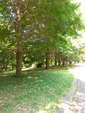 IMG_2023-07-27-09-01-45-679