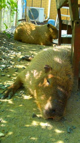 073c0f46.jpg