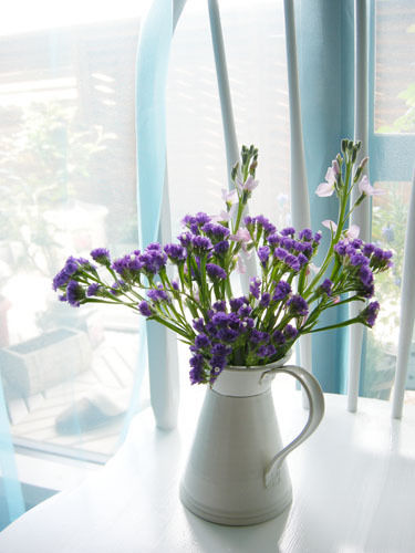 男が愛でる花 なんと旬なタイトルだろう Relaxingtimeのブログ