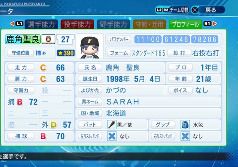 eBASEBALLパワフルプロ野球2020_20210104103007
