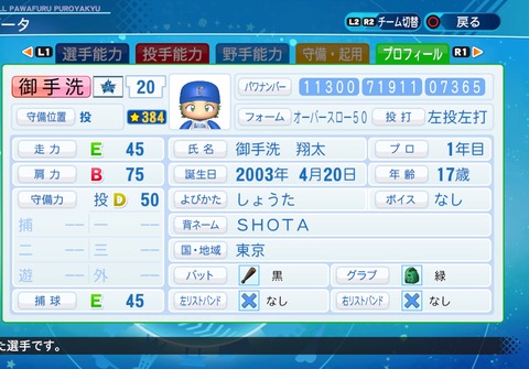 eBASEBALLパワフルプロ野球2020_20210908202710