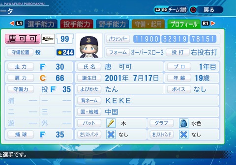 eBASEBALLパワフルプロ野球2020_20220309011013