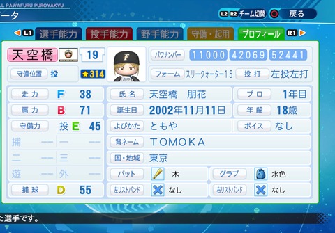 eBASEBALLパワフルプロ野球2020_20211108205845