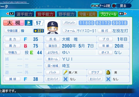 eBASEBALLパワフルプロ野球2020_20211108210143