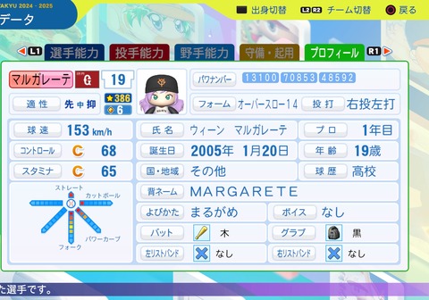 パワフルプロ野球2024-2025_20250313195316