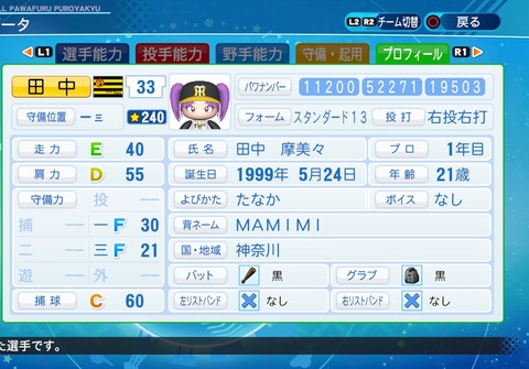 eBASEBALLパワフルプロ野球2020_20220104110516