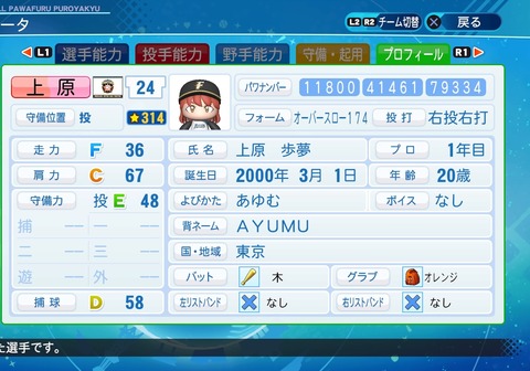 eBASEBALLパワフルプロ野球2020_20210223205715